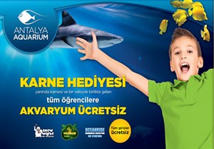 Antalya Aquariumdan Karne Hediyesi!