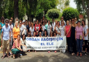 GNEYDOU DA ORGAN BAIINI ANLATACAKLAR