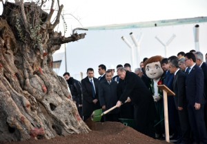 ERDOAN EXPO ALANINA 945 YAINDAK ZEYTN AACINI DKT