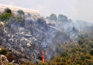 ACISU DAK YANGINA ERKEN MDAHALE ORMANI KURTARDI