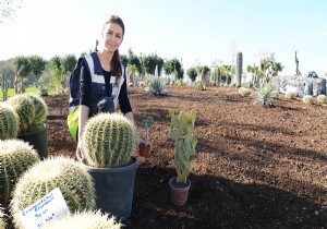 EXPO SERG ALANINA KAKTS VE SUKKULENT DKLYOR