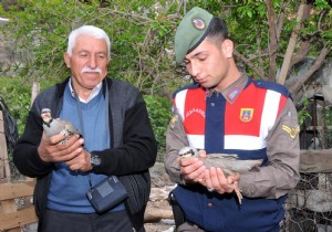 HALKASIZ KEKLKLER DOAYA SALINACAK